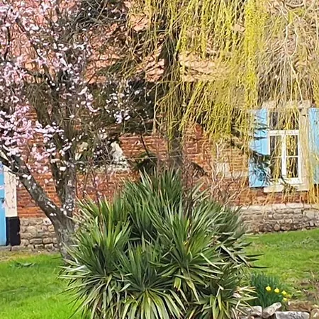 Le Major Guest house *
