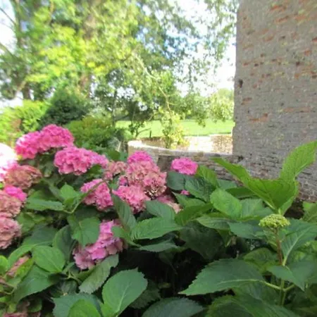 Le Major * Belle-et-Houllefort