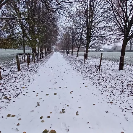 بيت ضيافة Le Major