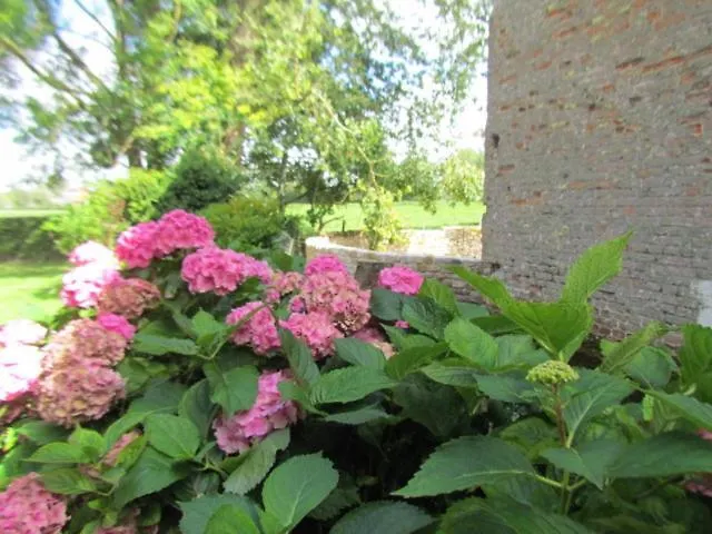 Le Major * Belle-et-Houllefort