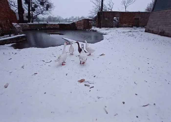 Le Major Maison d'hôtes *