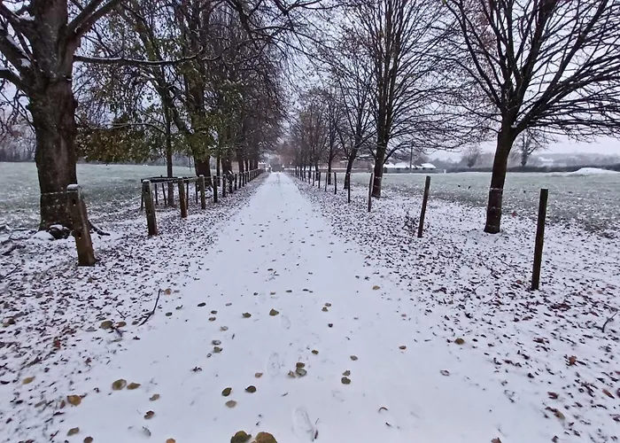 Maison d'hôtes Le Major