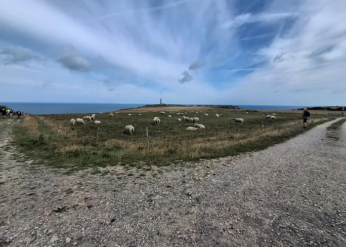 Le Major Maison d'hôtes *